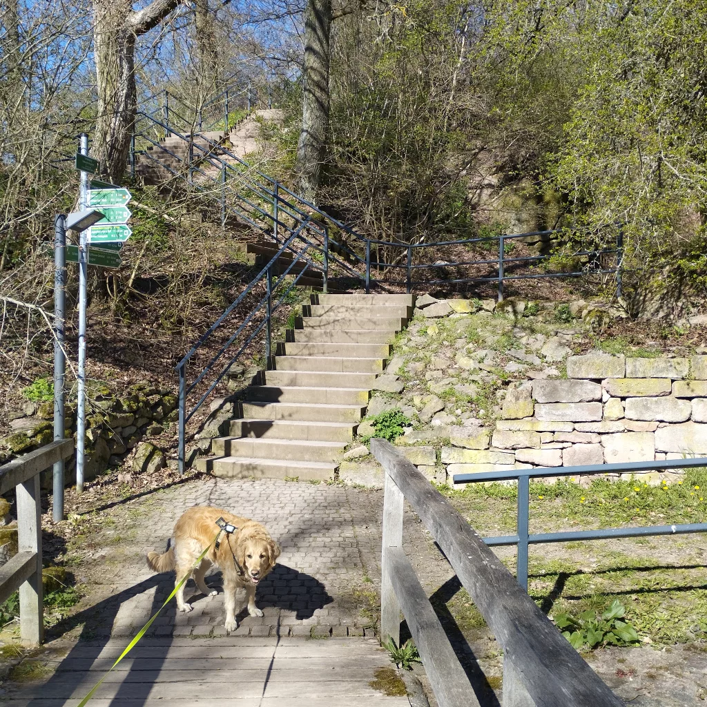 Mittelburg - Kyffhäuser-Denkmal
