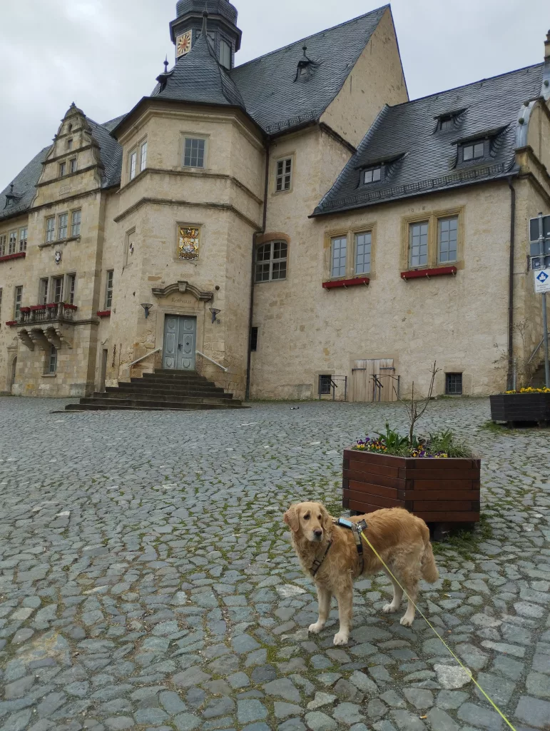 Rathaus - Blankenburg - Drehort Räumer Hotzenplotz