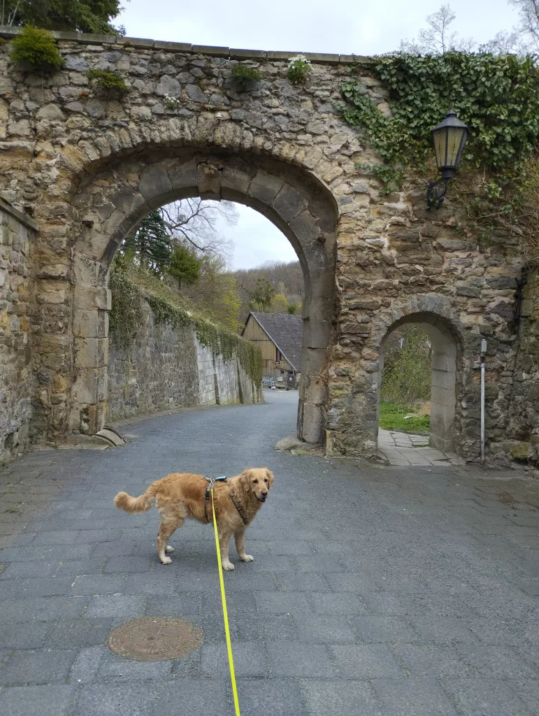 Historischer Torbogen Schloss - Blankenburg