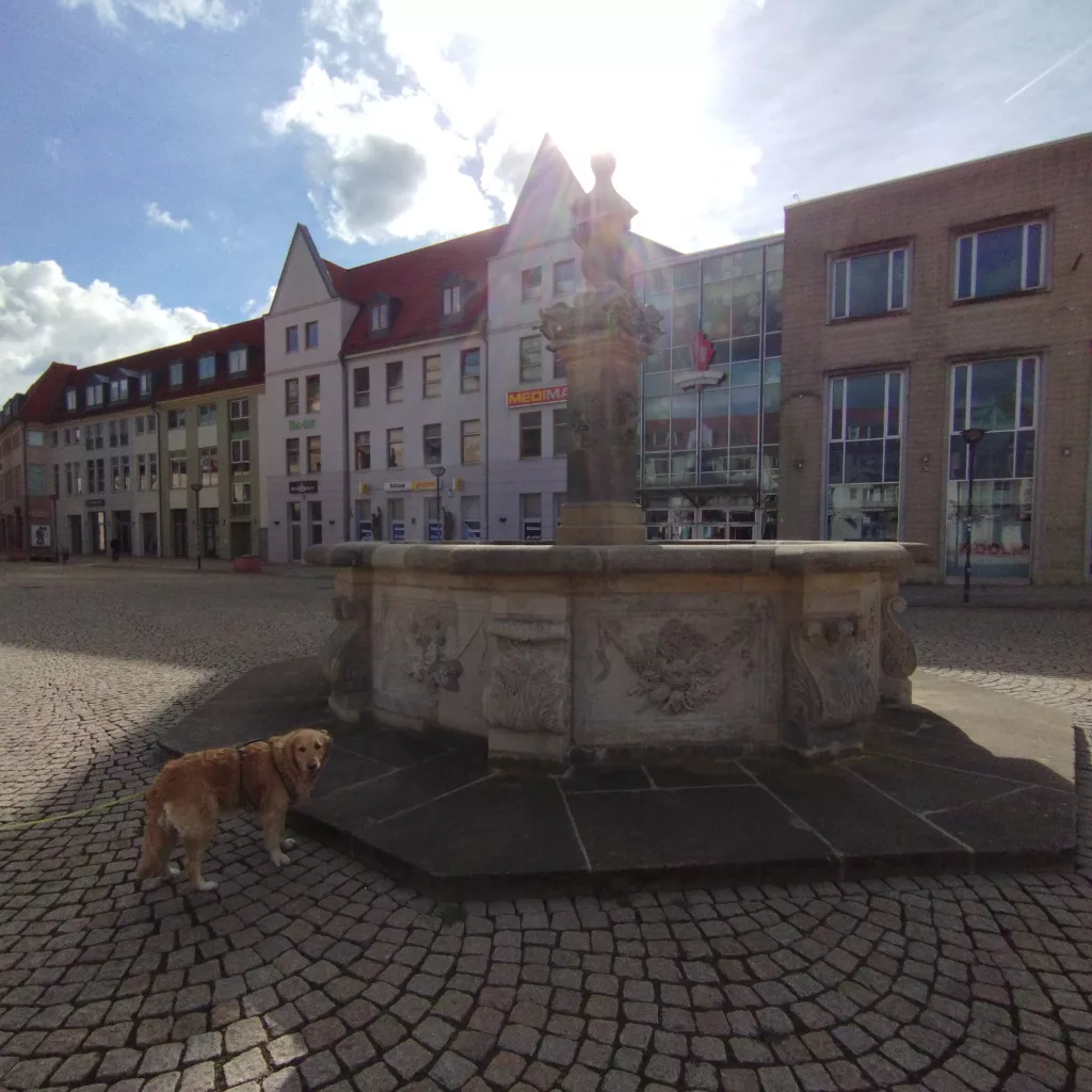 Holzmarkt und Holzmarktbrunnen - Halberstadt