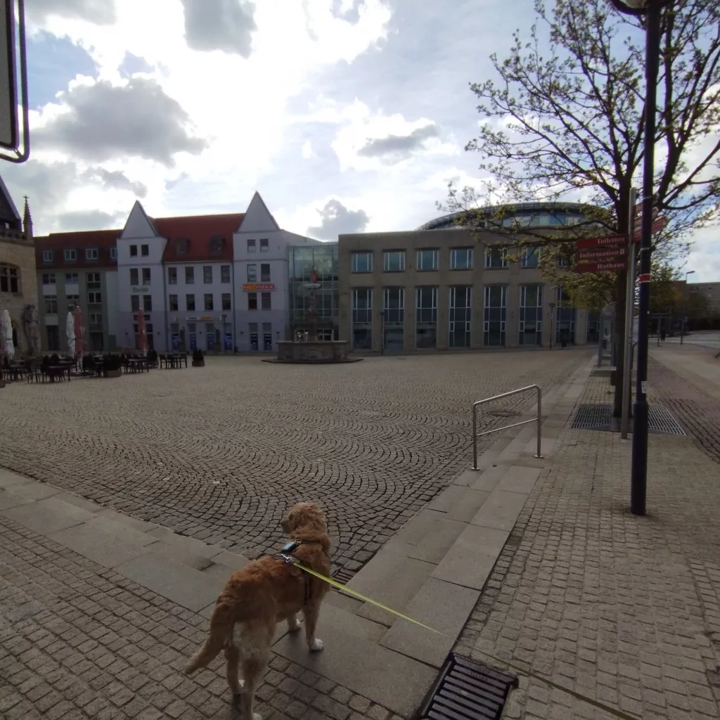 Holzmarkt und Holzmarktbrunnen - Halberstadt