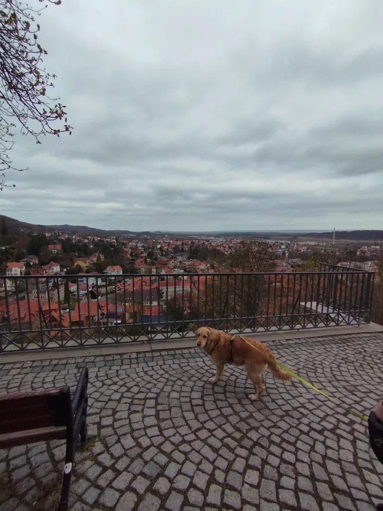 Ausblick vom Schloss - Blankenburg