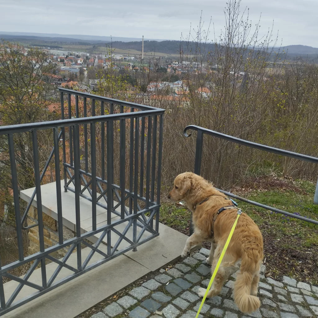 Ausblick vom Schloss - Blankenburg