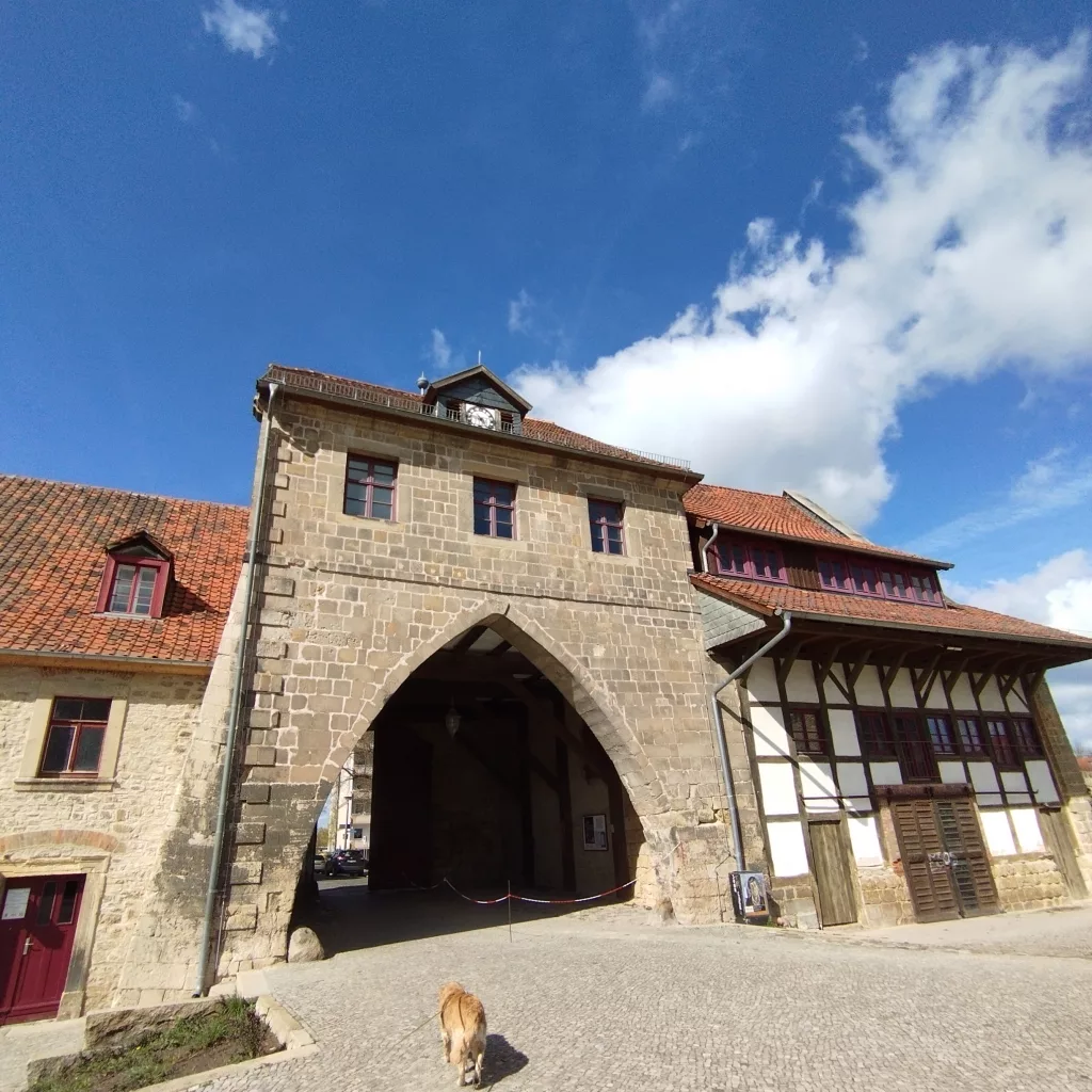 Burchardikloster - Halberstadt