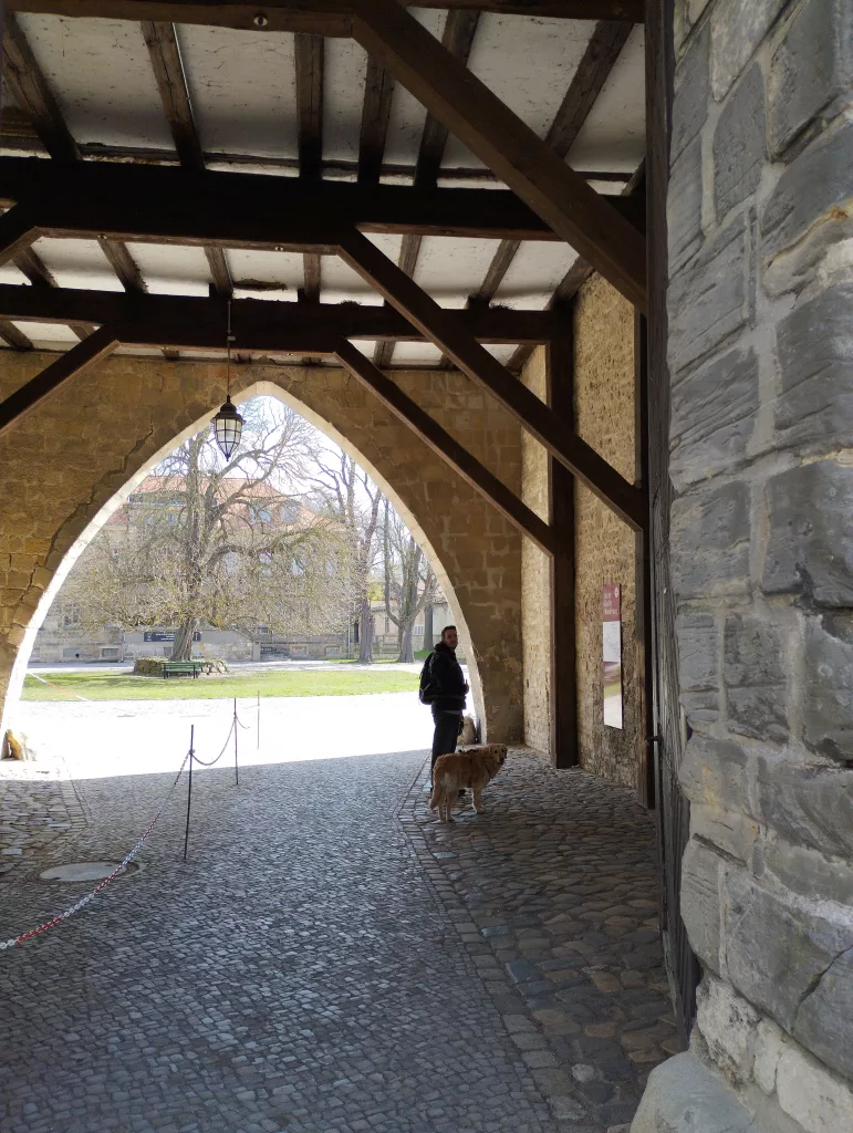 Burchardikloster - Halberstadt