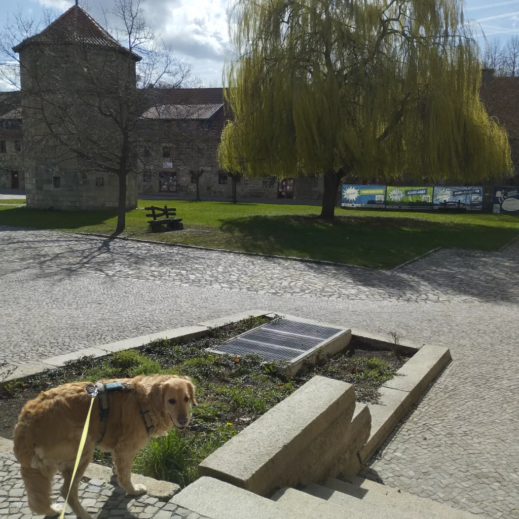 Burchardikloster - Halberstadt