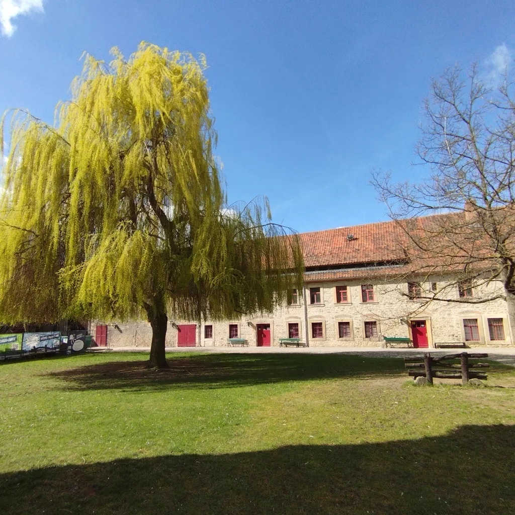Burchardikloster - Halberstadt