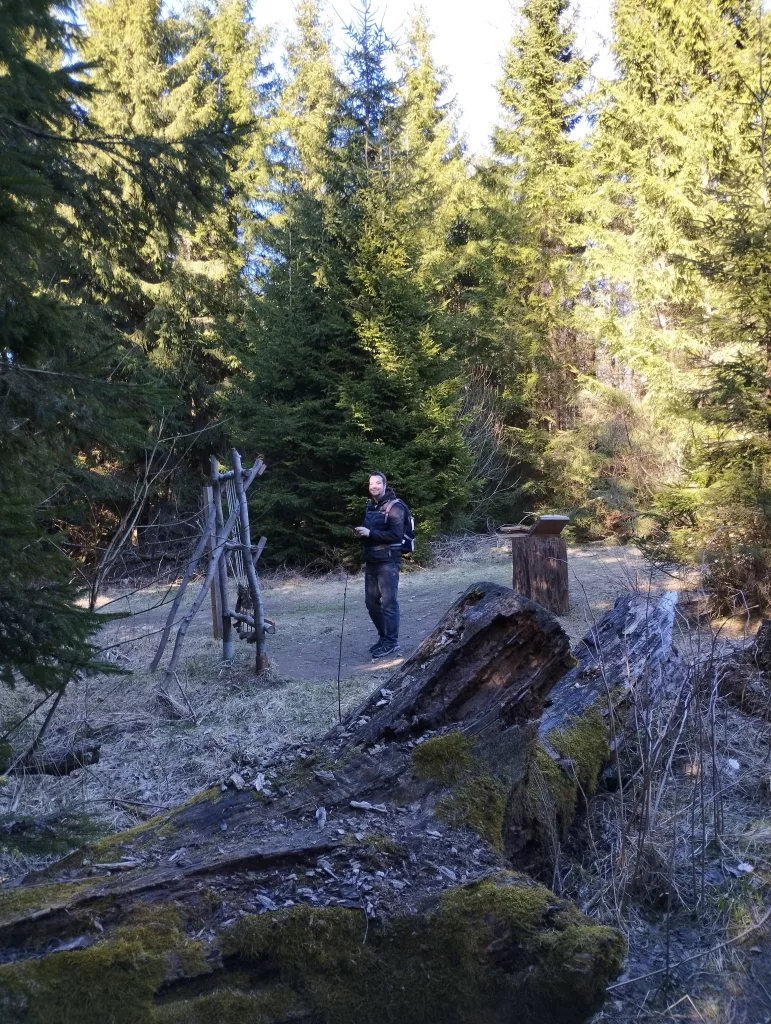 Naturmythenpfad in Braunlage - Station 3 - Der Baum