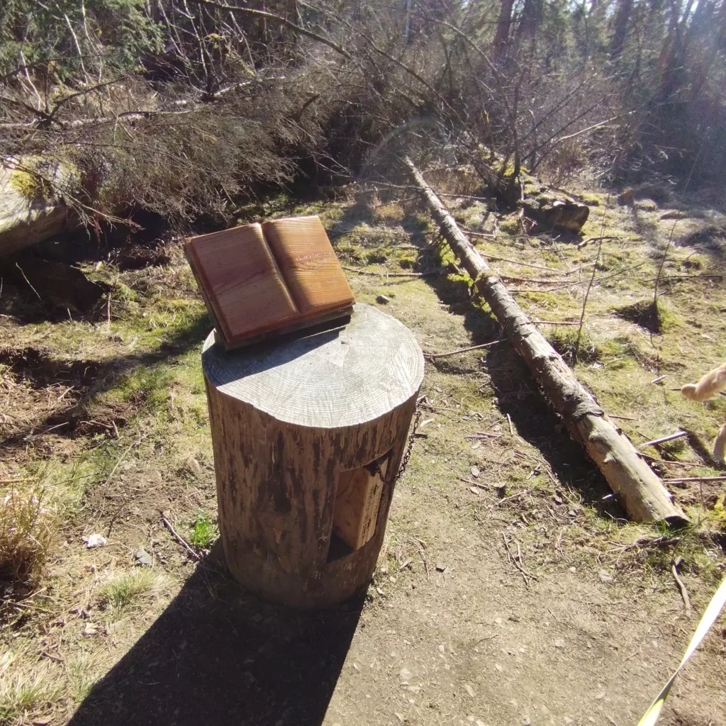 Naturmythenpfad in Braunlage - Station 3 - Der Baum