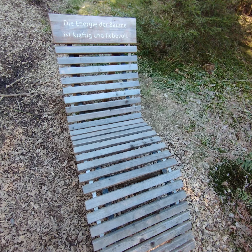 Naturmythenpfad in Braunlage - Station 3 - Der Baum