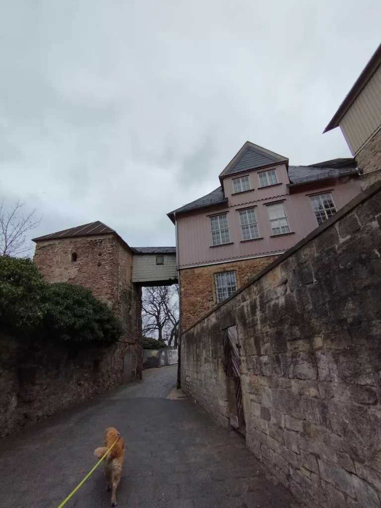 Schloss - Blankenburg