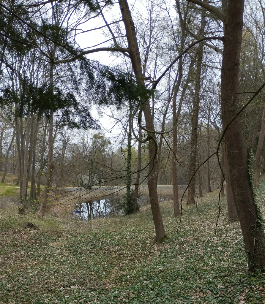 Schlossteich - Blankenburg