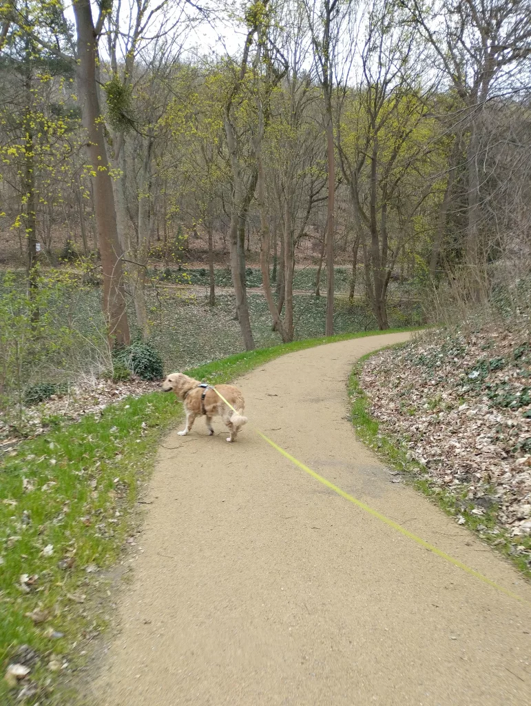 Historischer Schlossgarten - Blankenburg