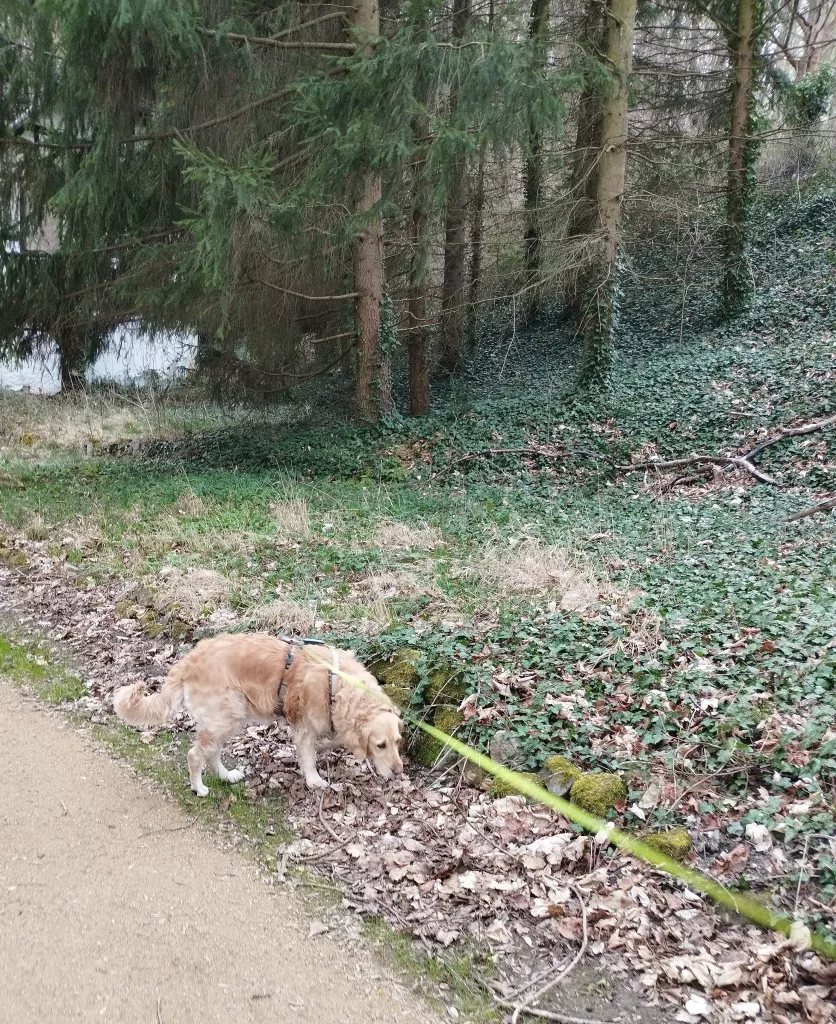 Historischer Schlossgarten - Blankenburg
