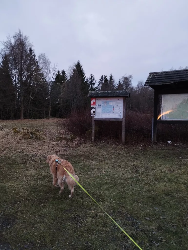 Hasselkopfloipe und Hasselkopf