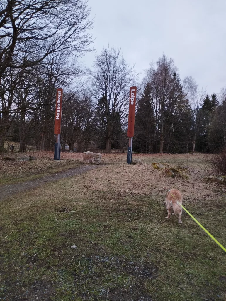 Hasselkopfloipe und Hasselkopf