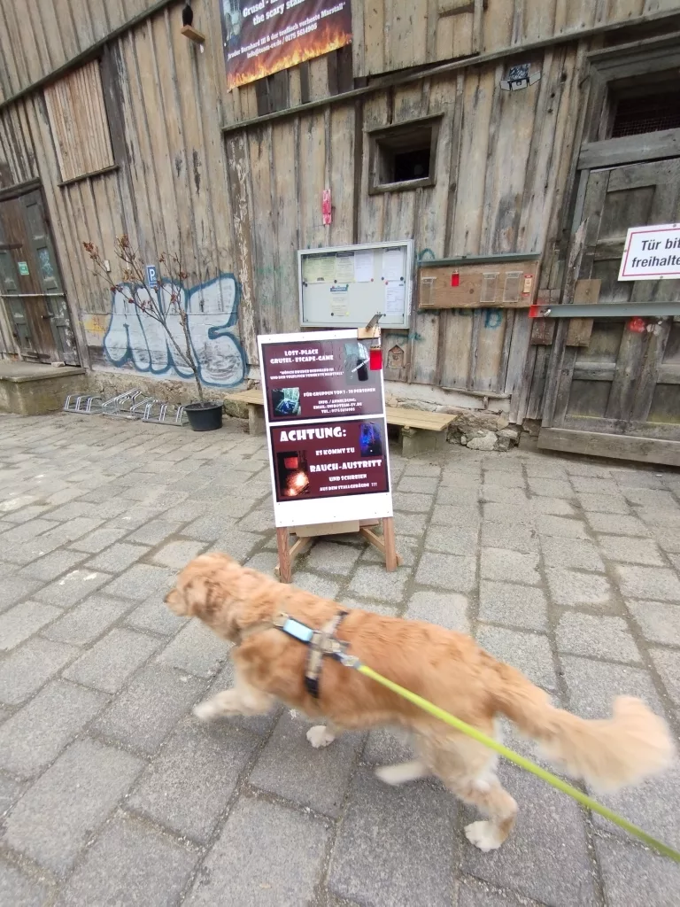Escape Games - Alter Marstall - Blankenburg