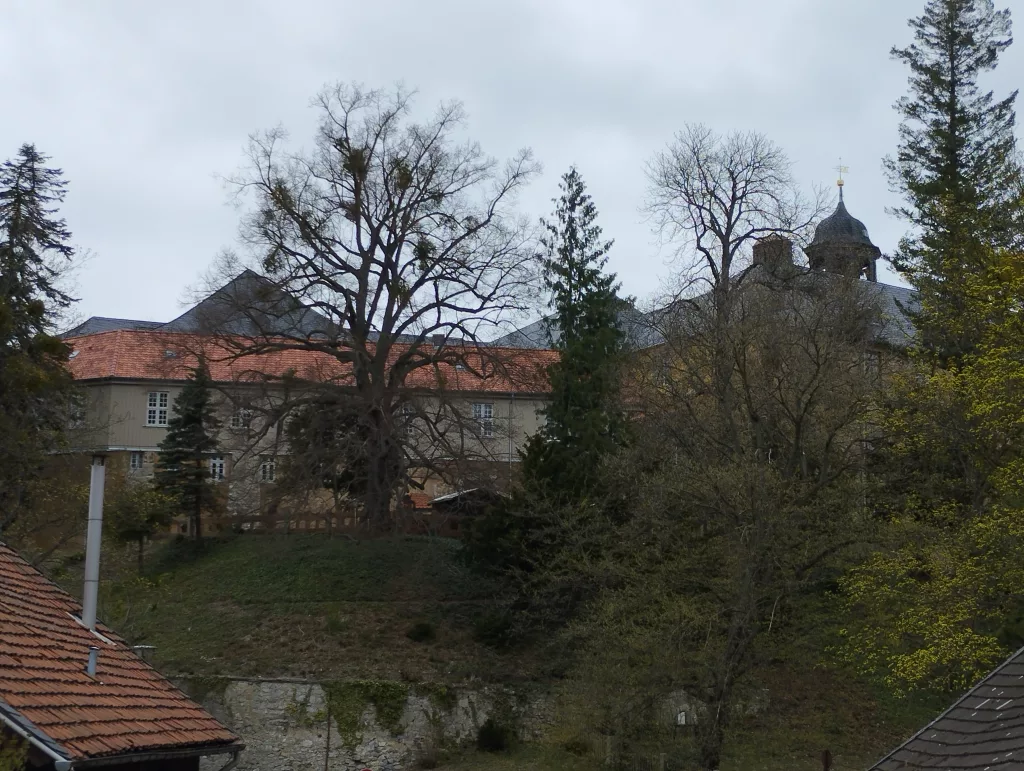 Schloss - Blankenburg