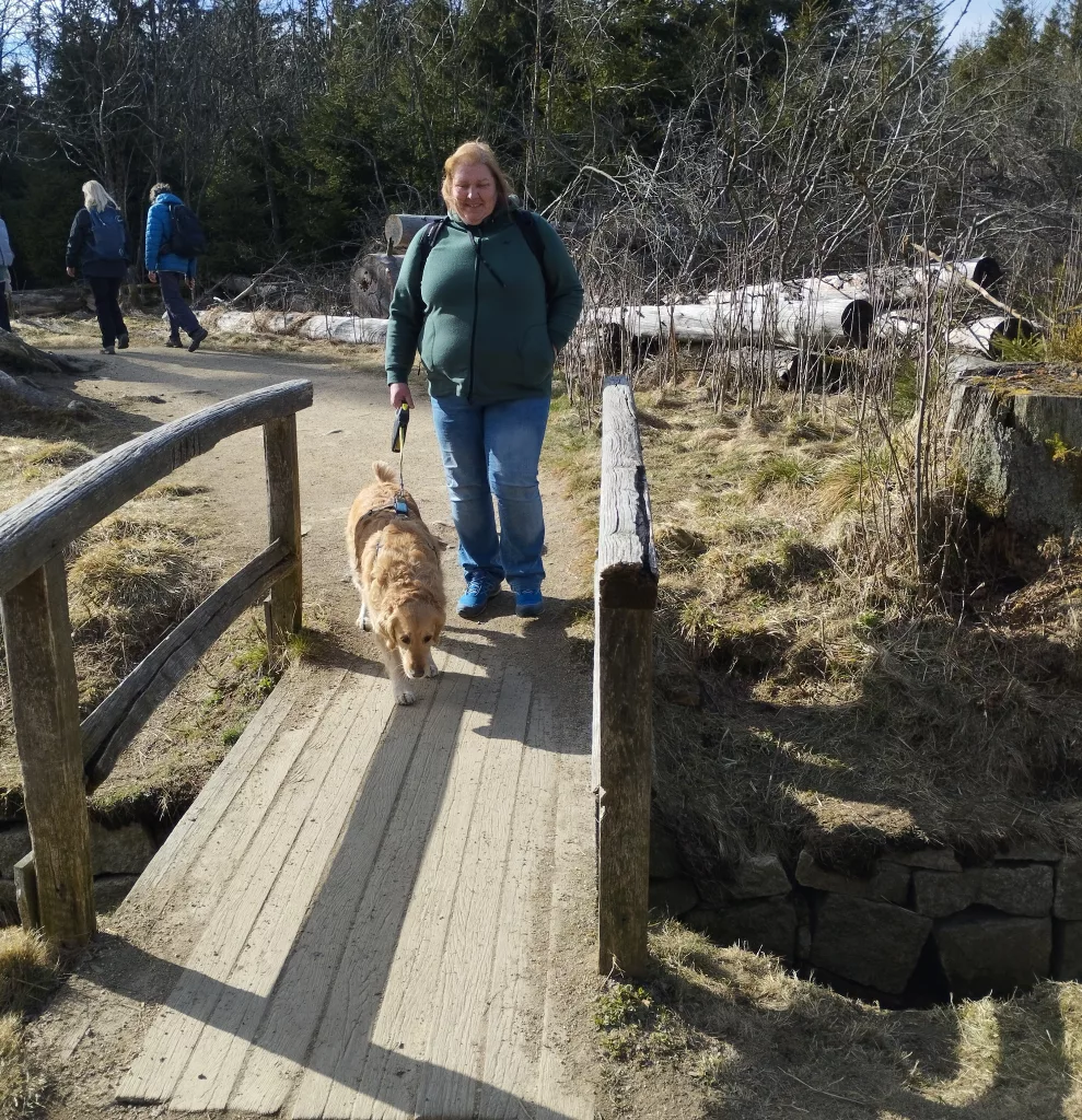 Oderteich (Harz)