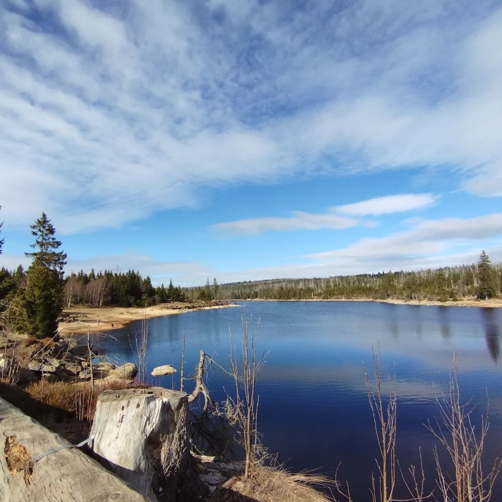 Oderteich (Harz)