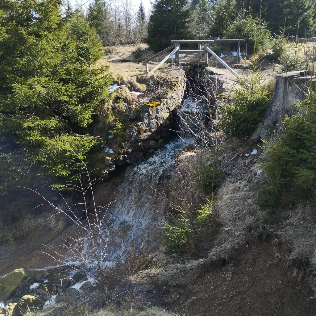 Oderteich (Harz)