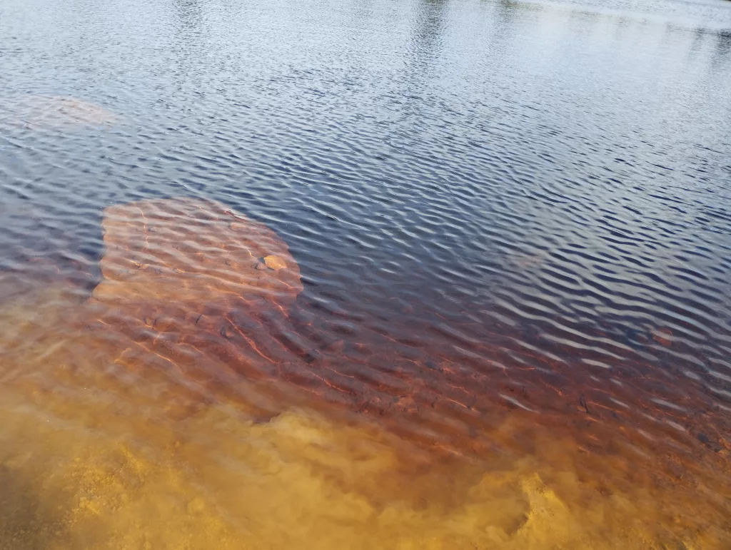 Oderteich (Harz)