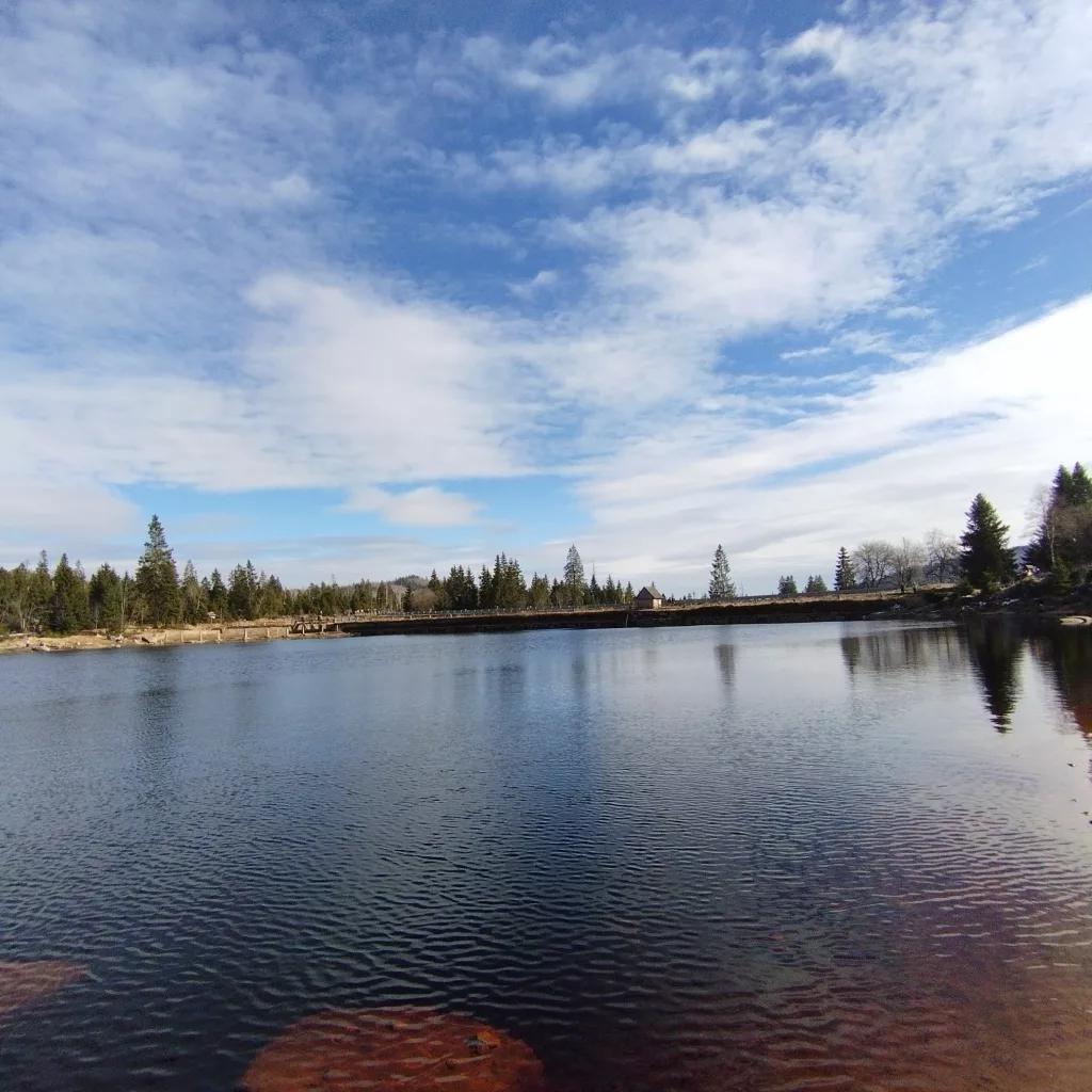 Oderteich (Harz)