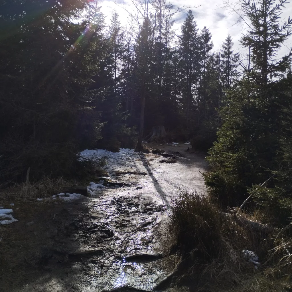 Oderteich (Harz)