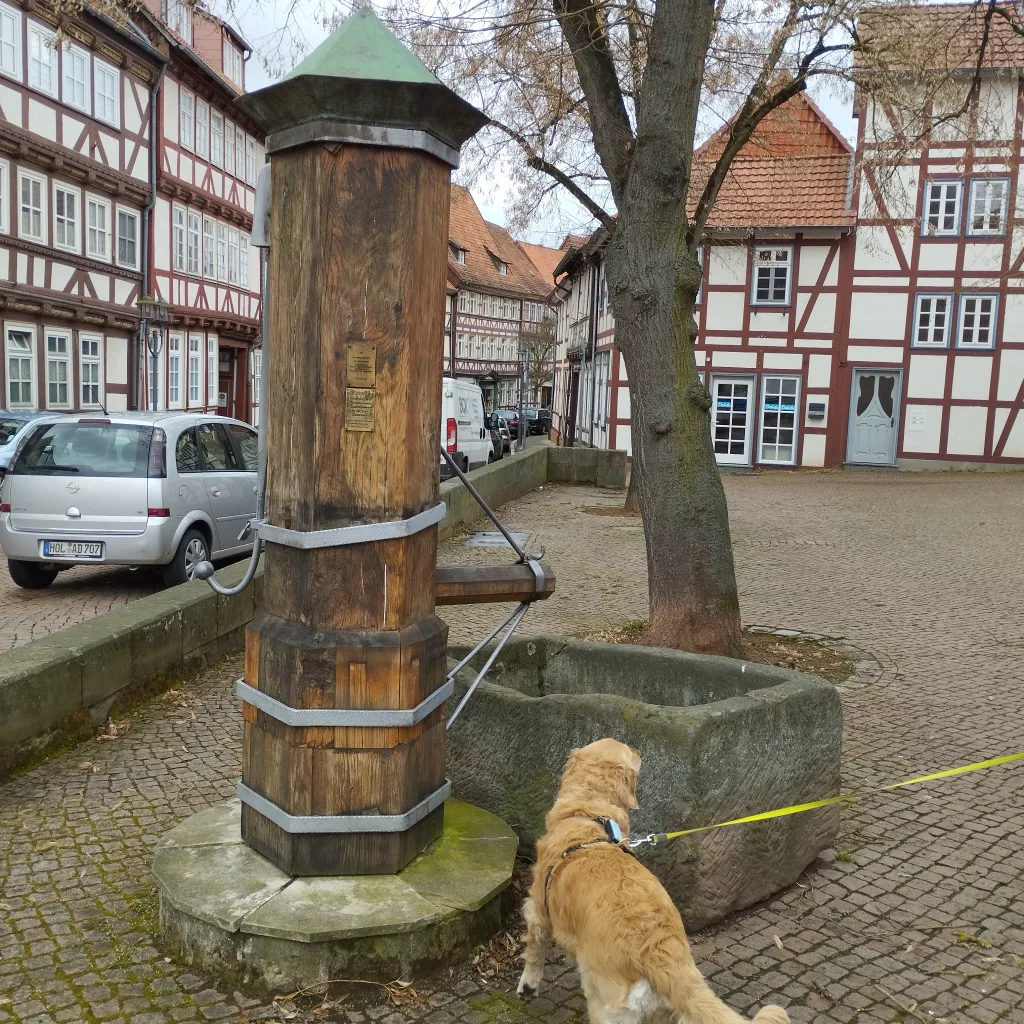 Gropenmarkt Duderstadt
