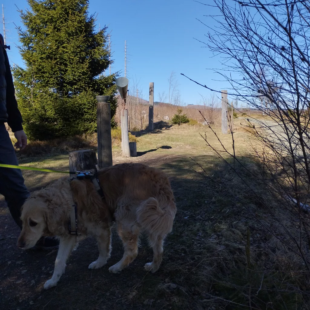 Naturmythenpfad in Braunlage
