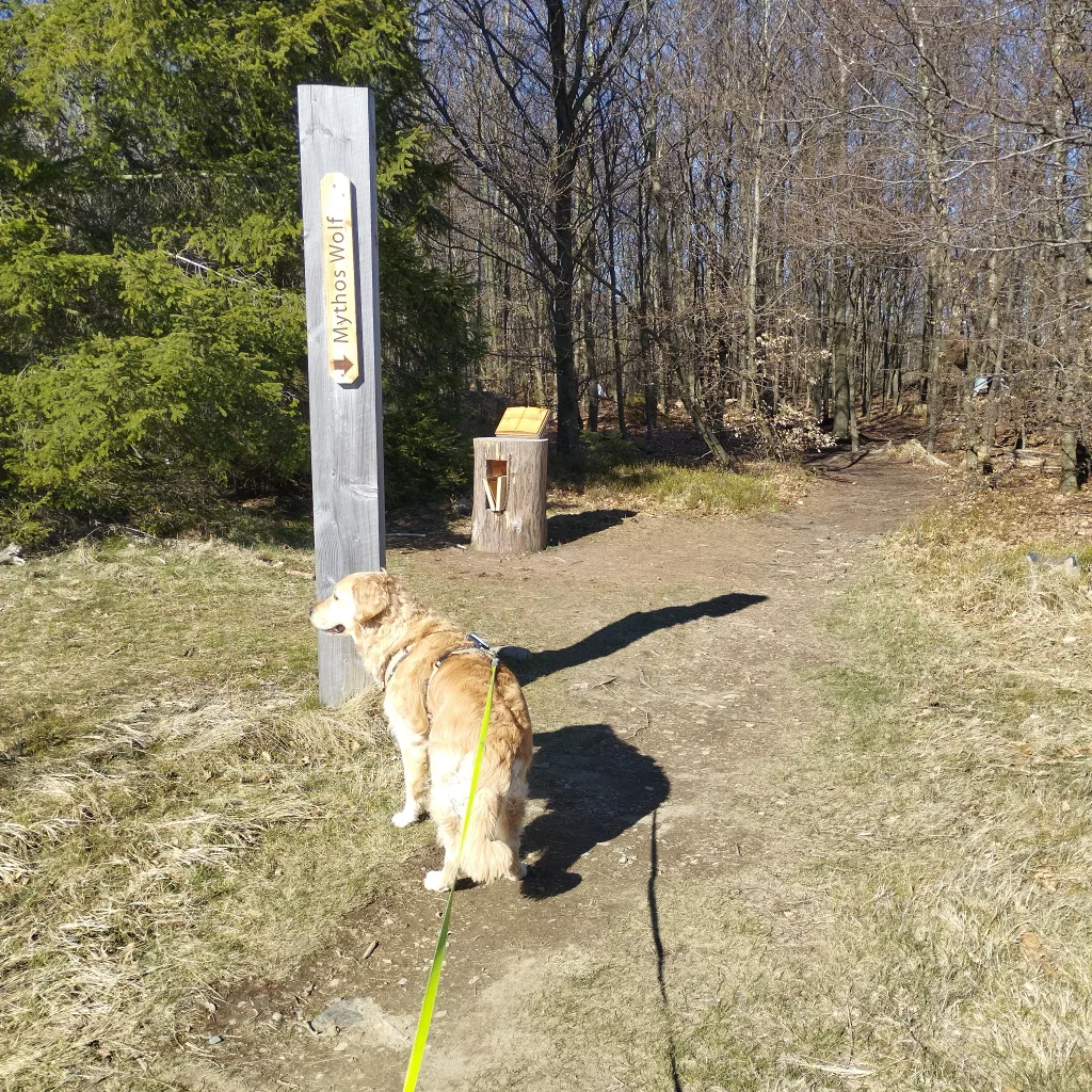 Naturmythenpfad in Braunlage - Station 1 - Der Wolf