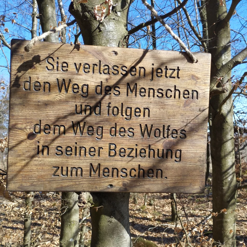 Naturmythenpfad in Braunlage - Station 1 - Der Wolf