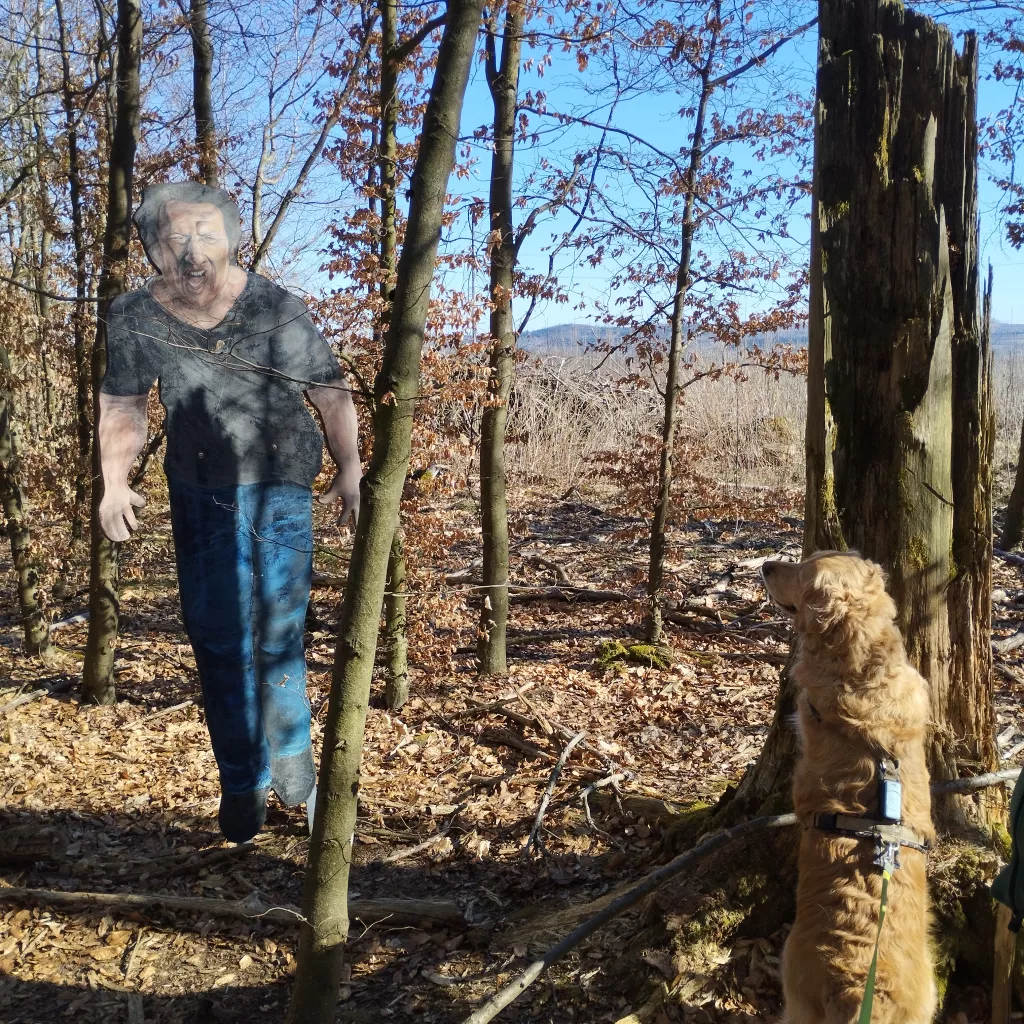 Naturmythenpfad in Braunlage - Station 1 - Der Wolf