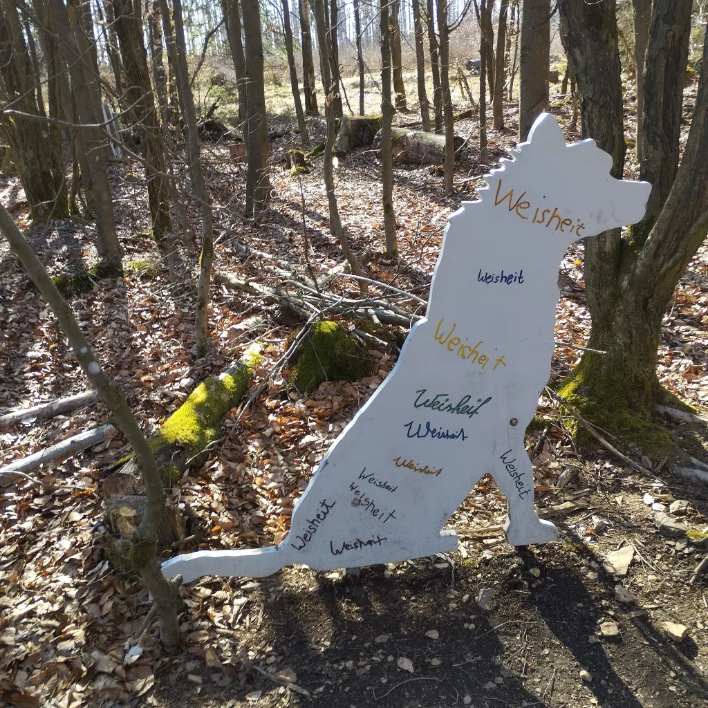 Naturmythenpfad in Braunlage - Station 1 - Der Wolf