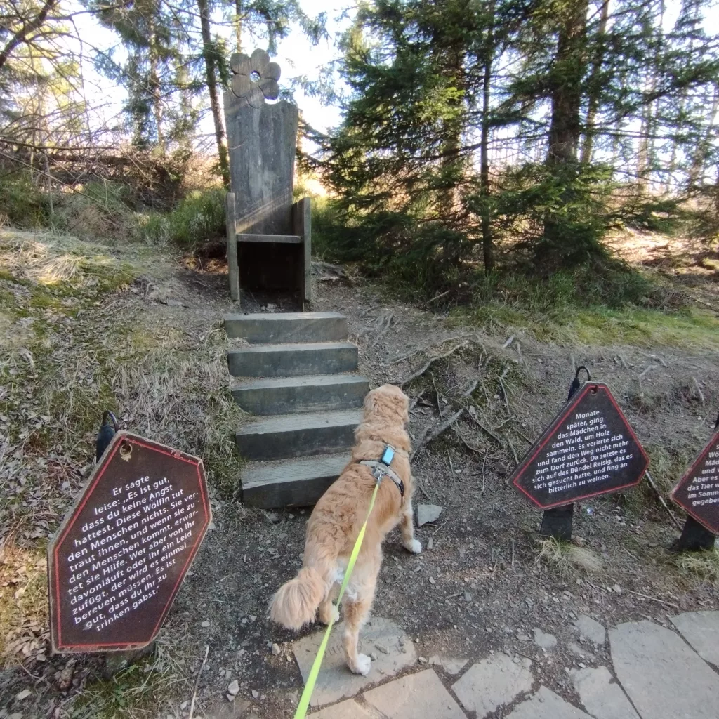 Naturmythenpfad in Braunlage - Station 2 - Märchen und Sagen
