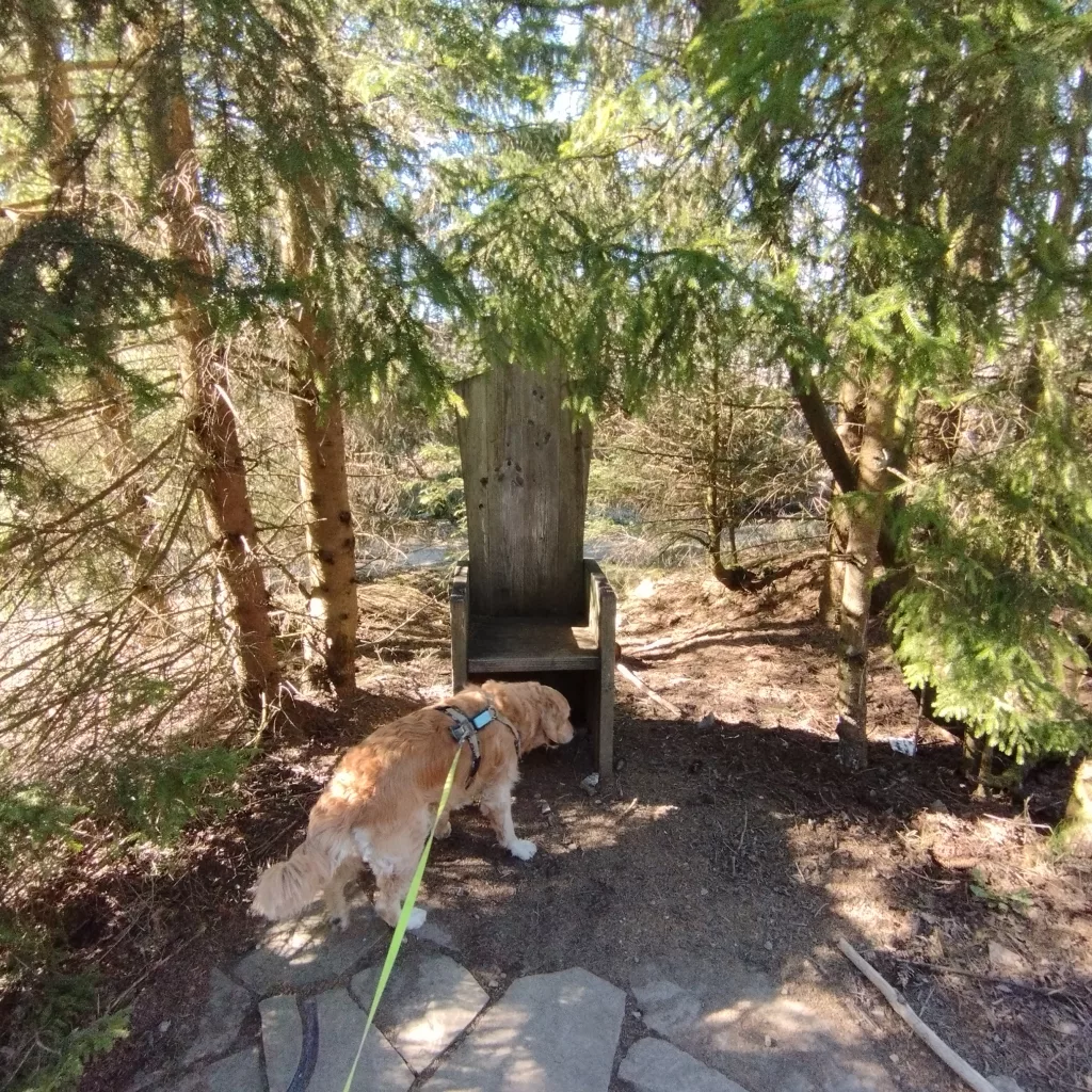 Naturmythenpfad in Braunlage - Station 2 - Märchen und Sagen