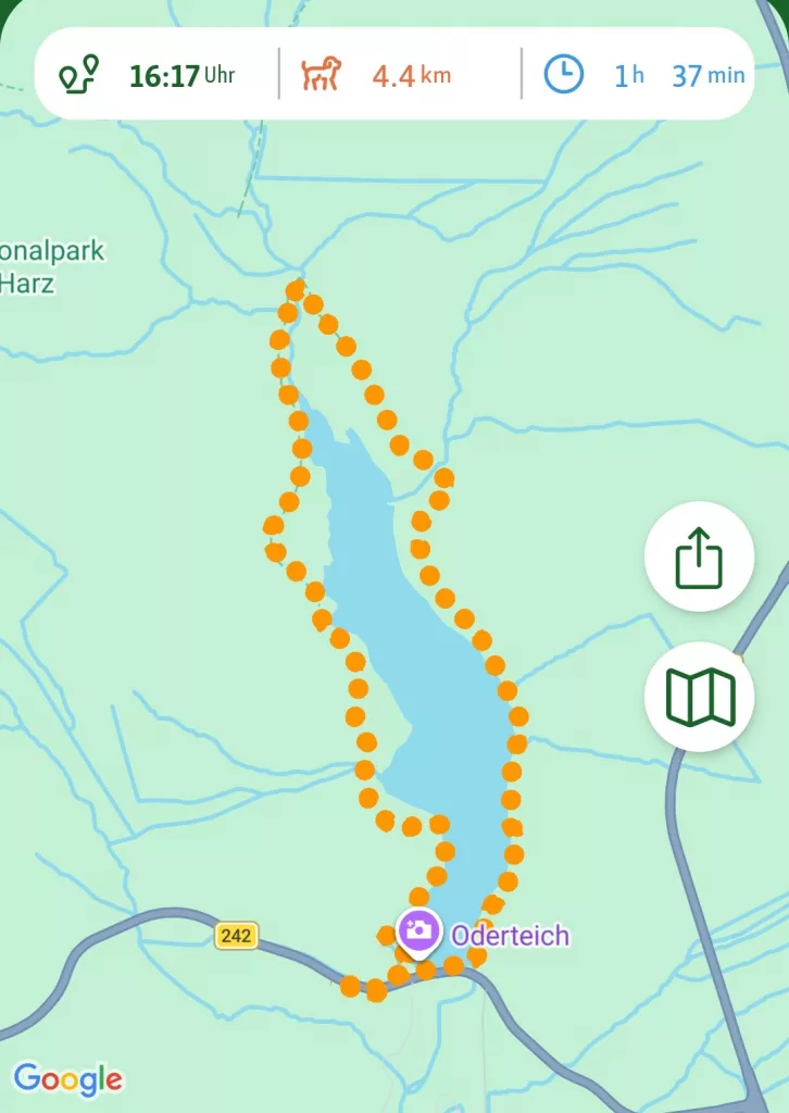 Oderteich (Harz)