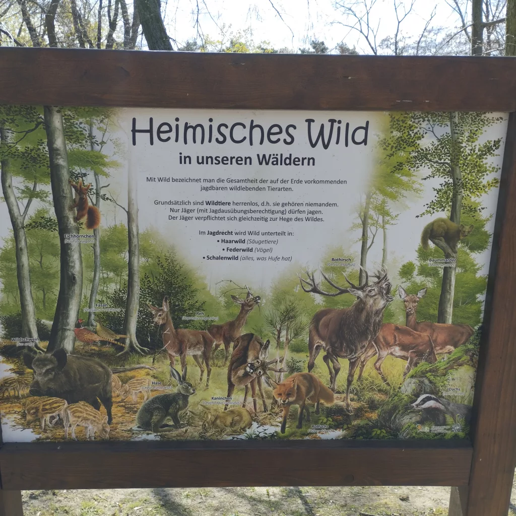 Tiergarten Halberstadt