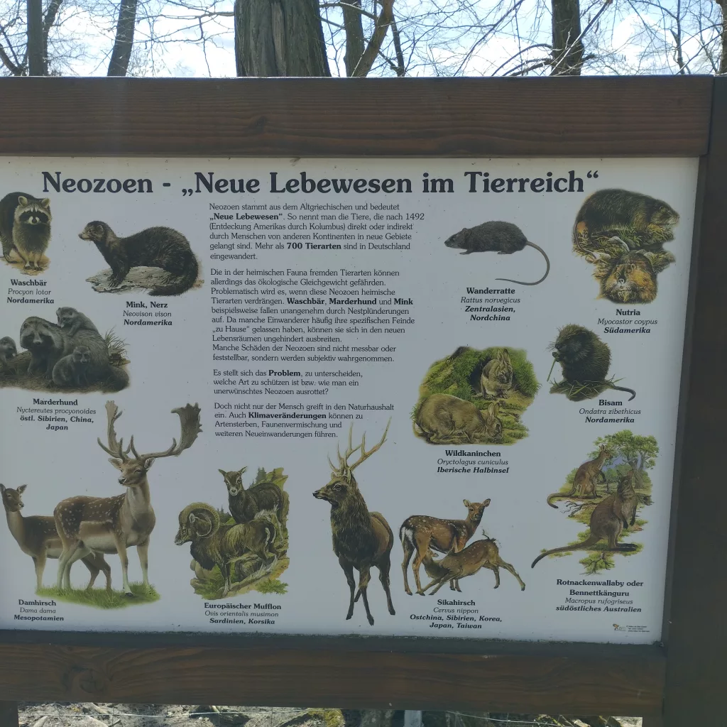 Tiergarten Halberstadt