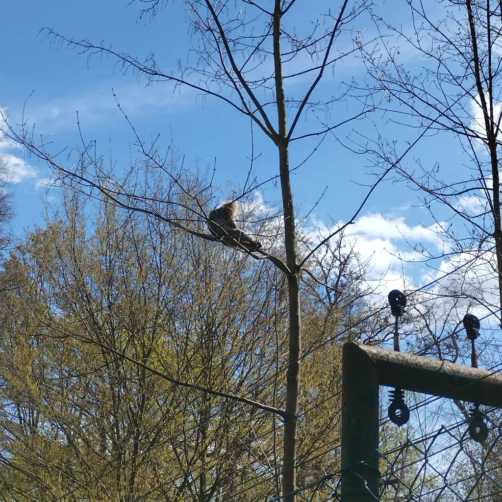 Tiergarten Halberstadt