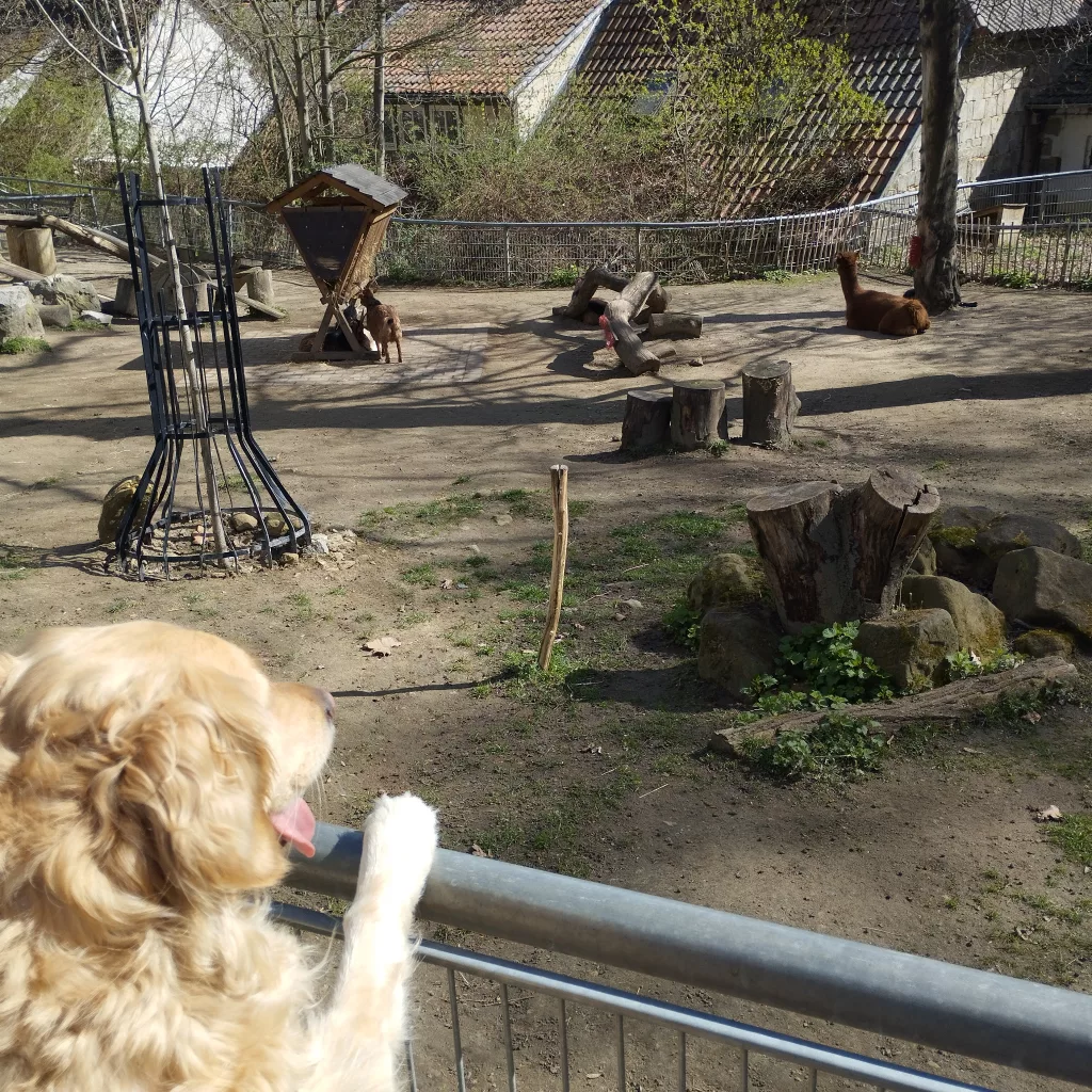 Tiergarten Halberstadt
