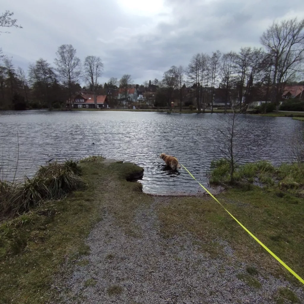 Kurpark Braunlage - Märchenpfad Braunlage