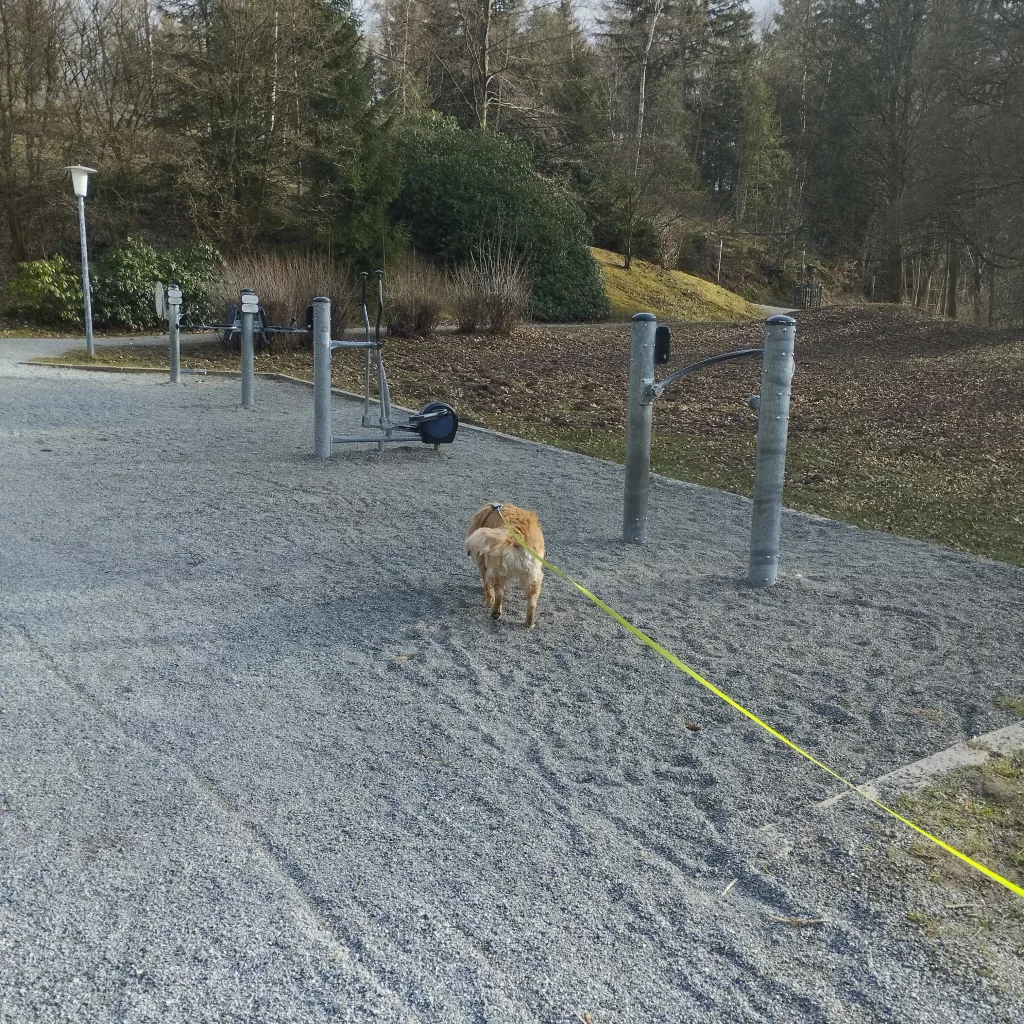 Kurpark Braunlage - Märchenpfad Braunlage