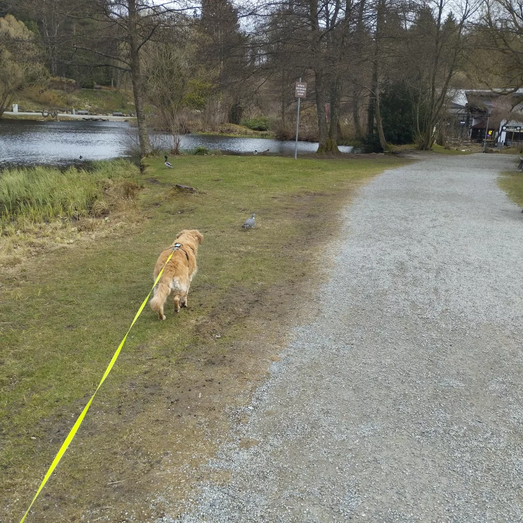 Kurpark Braunlage - Märchenpfad Braunlage