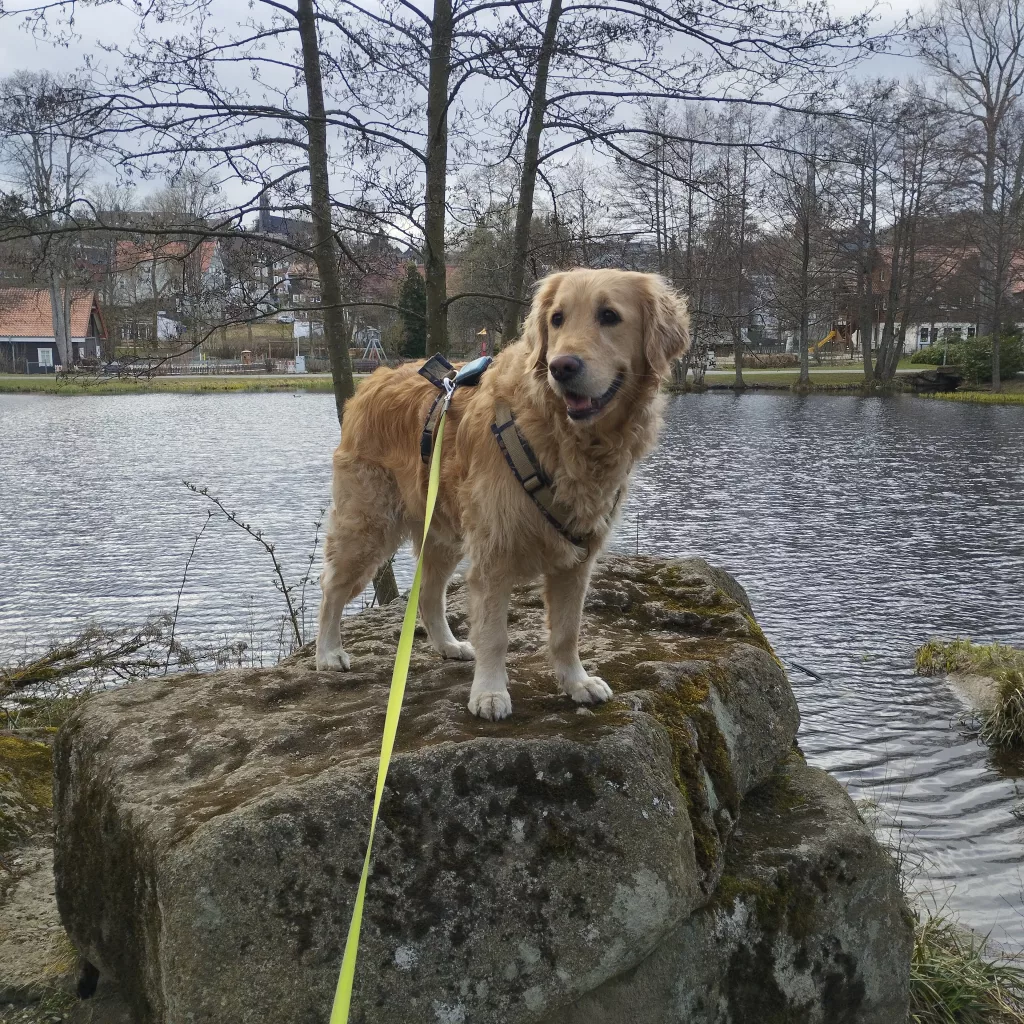 Kurpark Braunlage - Märchenpfad Braunlage