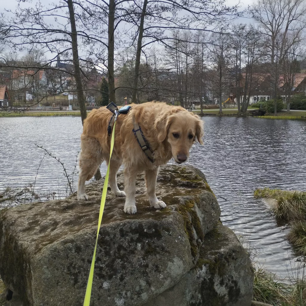 Kurpark Braunlage - Märchenpfad Braunlage