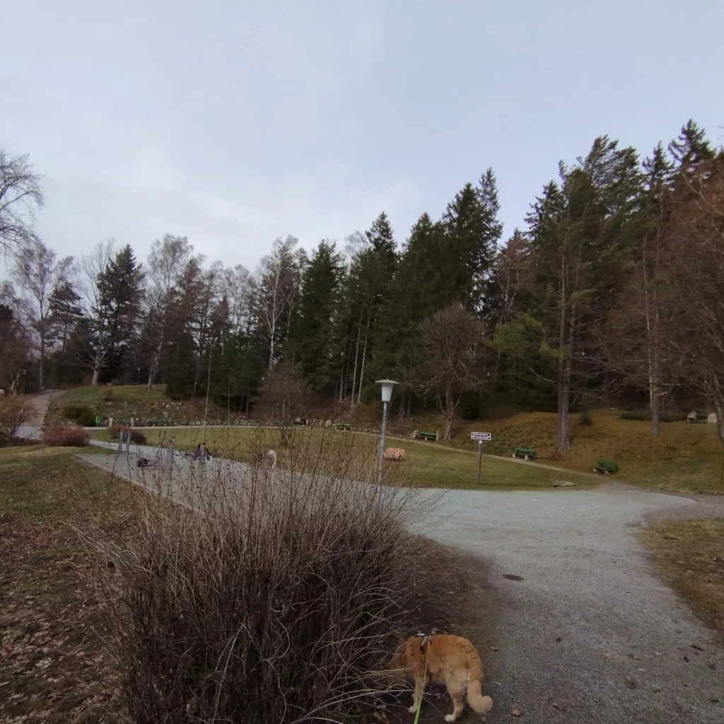 Kurpark Braunlage - Märchenpfad Braunlage