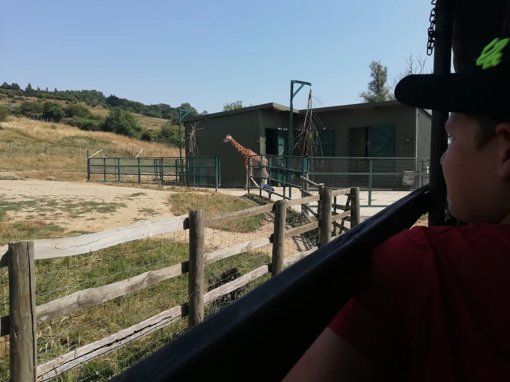 Port Lympne Safari Park