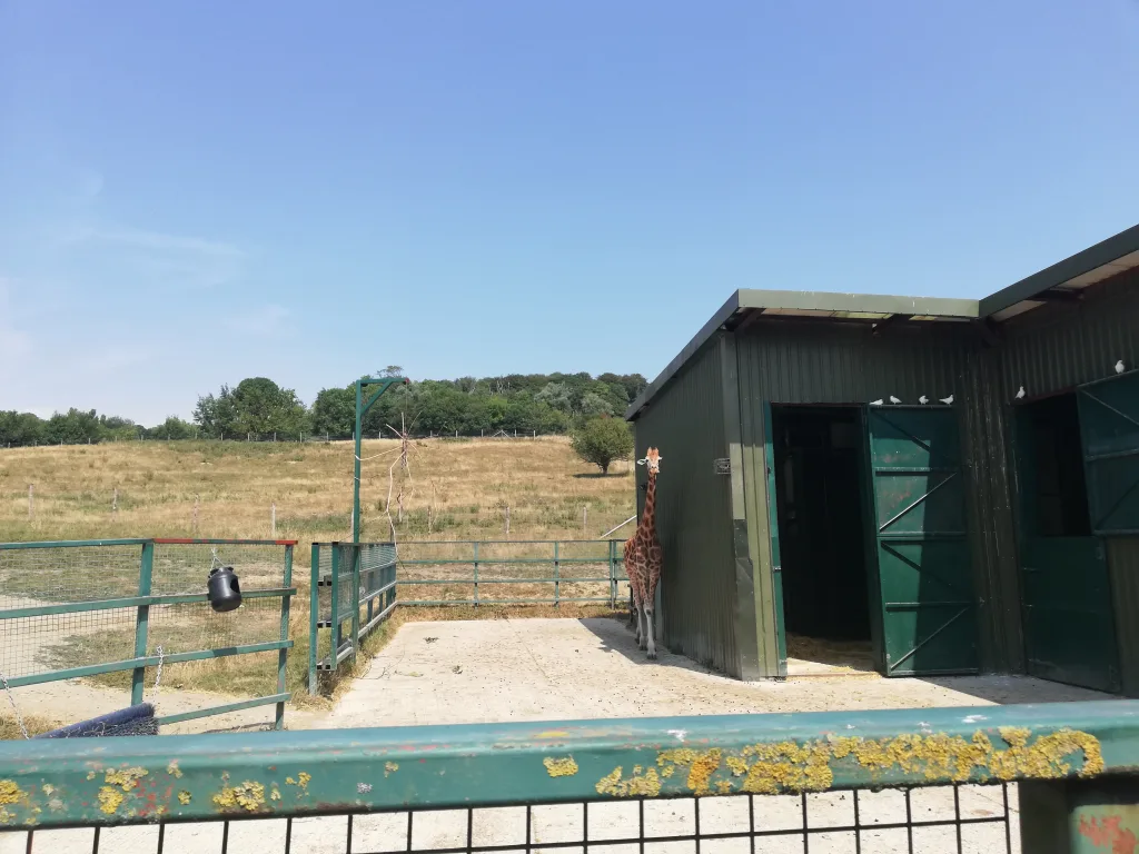 Port Lympne Safari Park