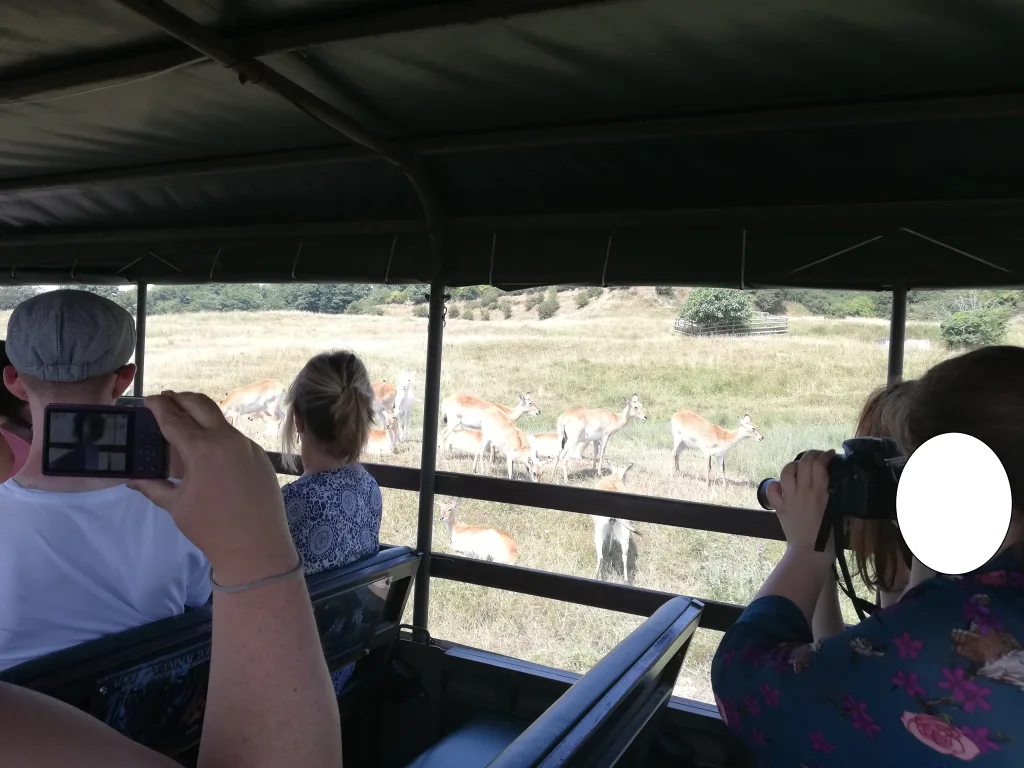 Port Lympne Safari Park